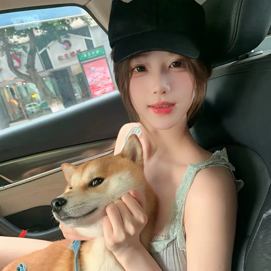 乱马1/2第二季